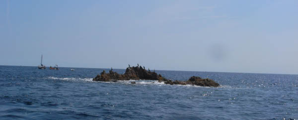 M0010980a