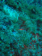 M0010952