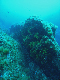 M0010954