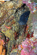 M0010955a