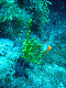 M0010958