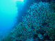 M0010967