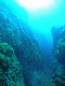 M0010978