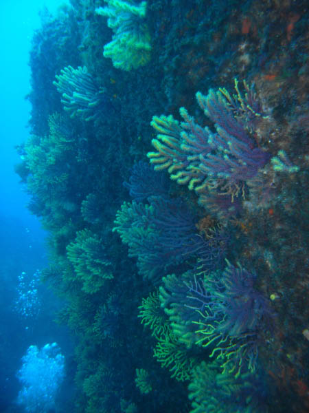 M0010982