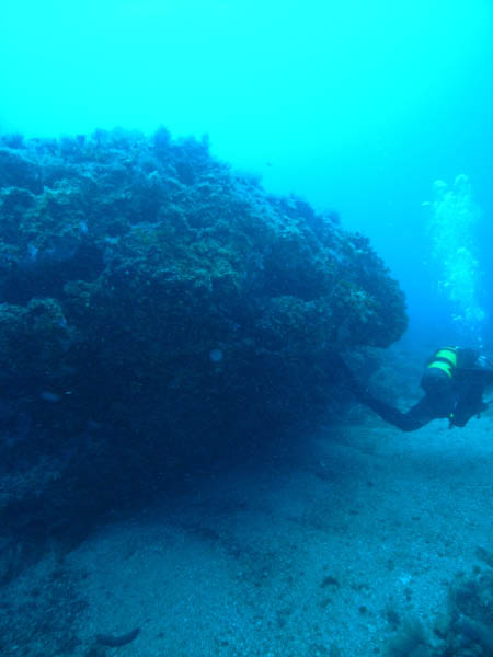 M0010983