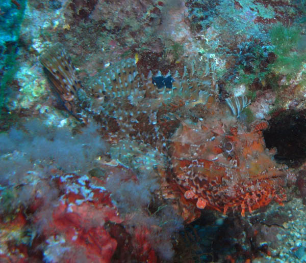 M0010984