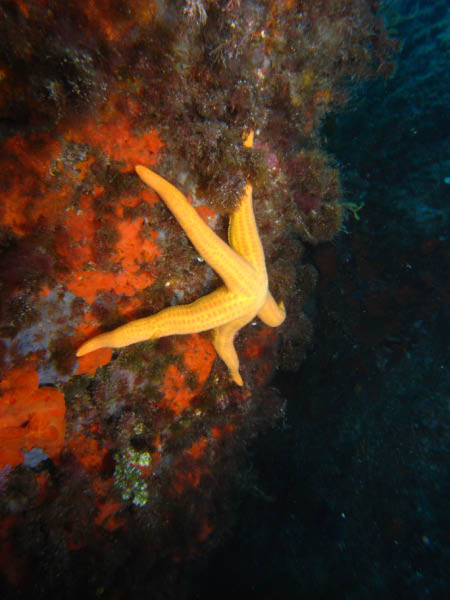 M0010993