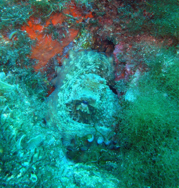 M0010997
