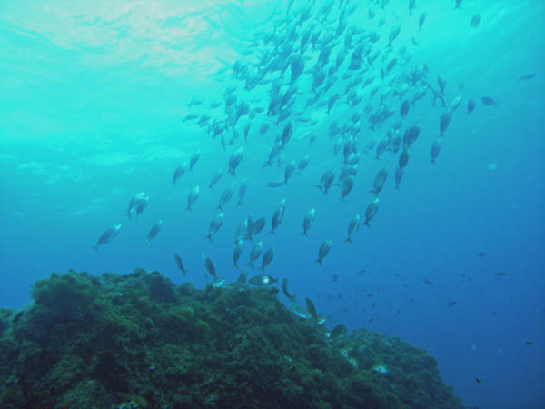 M0010999