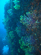 M0010982