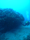 M0010983