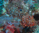 M0010984