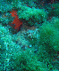 M0010996