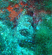 M0010997