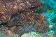 M0011004a