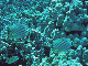 M0011212