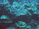 M0011236