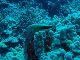 M0011241