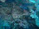 M0011265