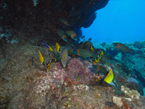 M0011434