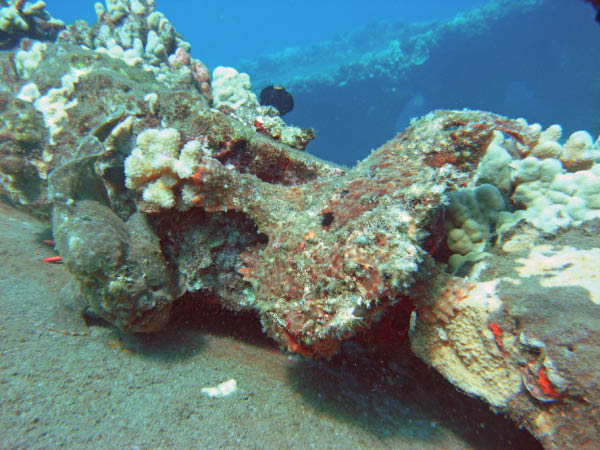 M0011458