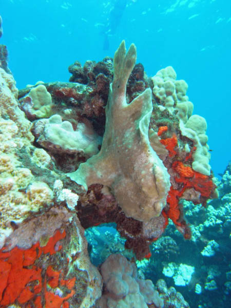 M0011464