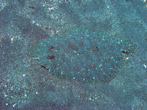 M0011471
