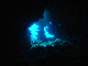 M0011369