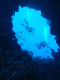 M0011379