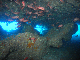 M0011413