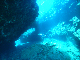 M0011417