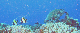 M0011442