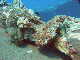 M0011458