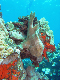 M0011464