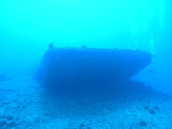 M0011533