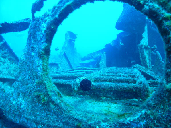 M0011538