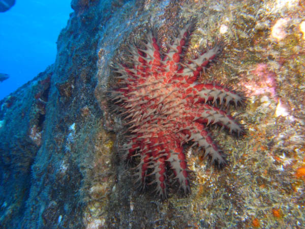 M0011546