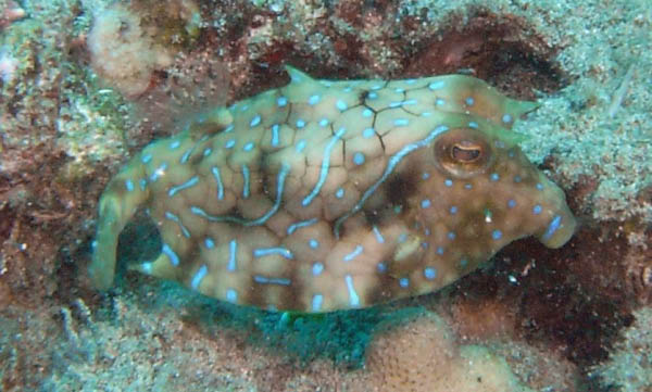 M0011553