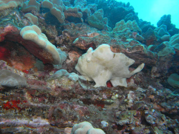 M0011556