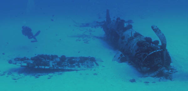 M0011562