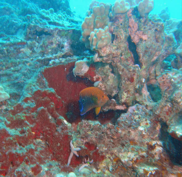 M0011575