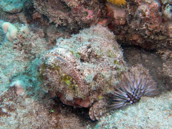 M0011579a