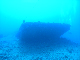 M0011533