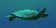 M0011537
