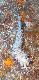 M0011541