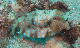 M0011553
