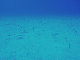 M0011558