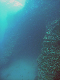 M0011571