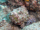 M0011579a