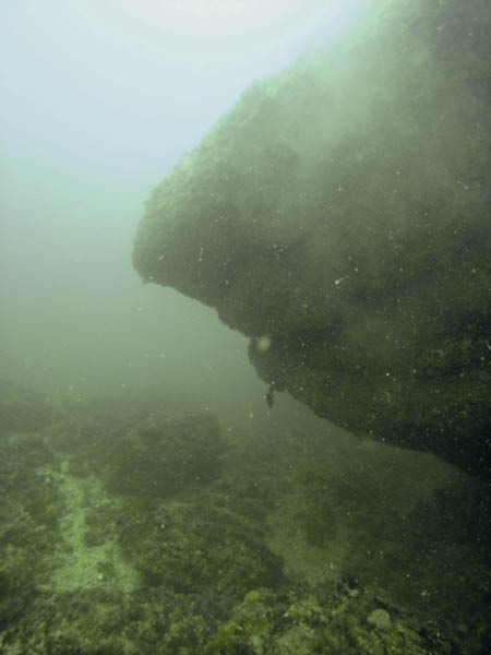 M0012202